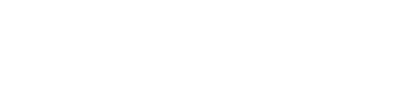 saleforce Partner with Zyrix