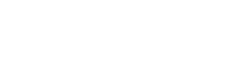 snowflake Partners With Zyrix